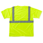 8289 Lime backmain copy